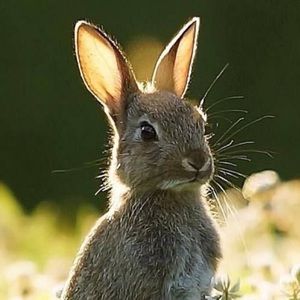 Meet your Posher, Madeline